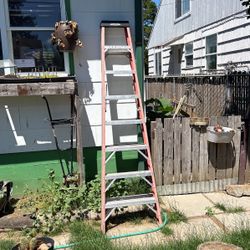 8ft Ladder