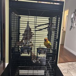 Parrot Cage