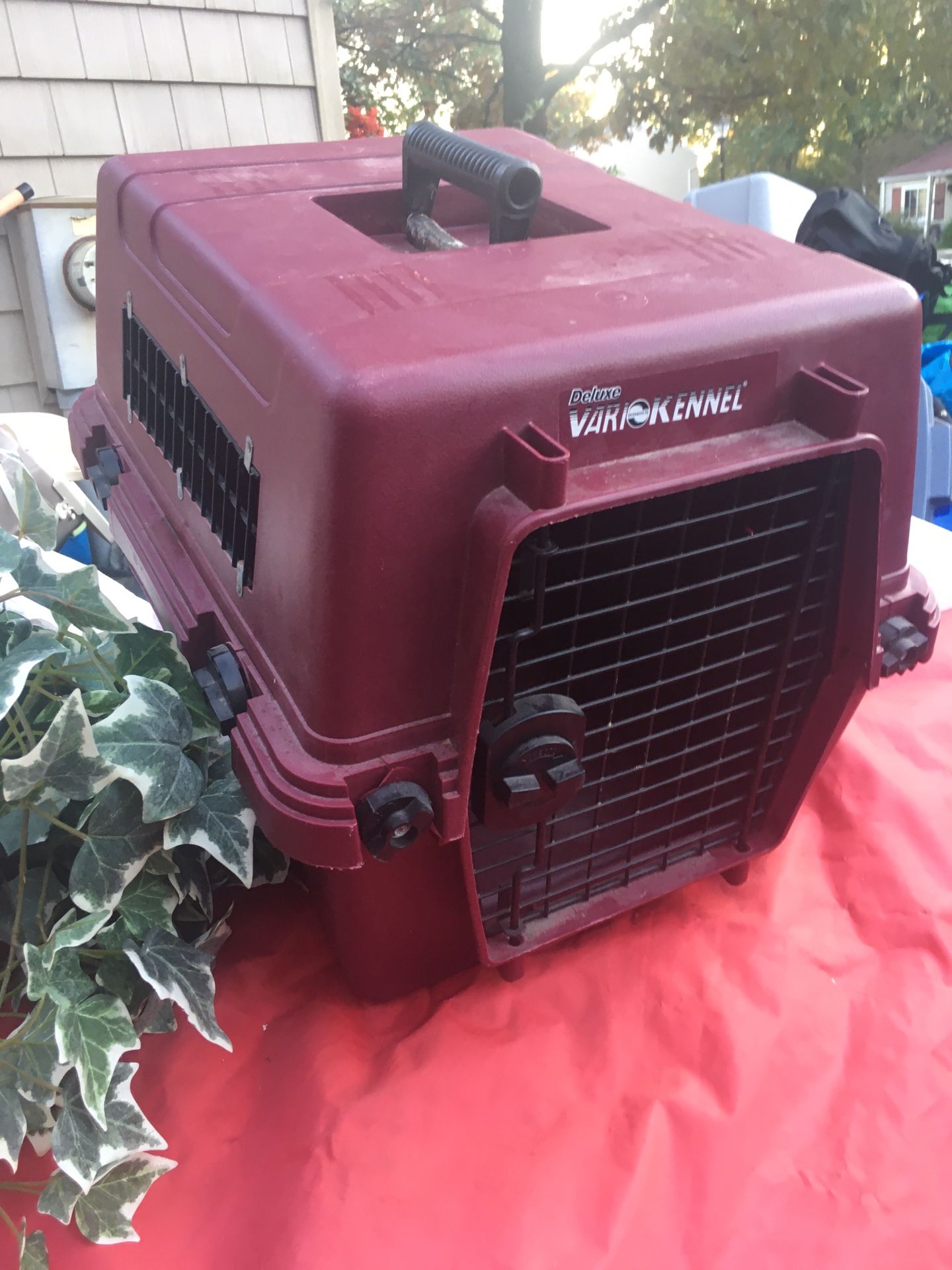 Nice medium pet carrier only $30