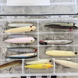Topwater baits