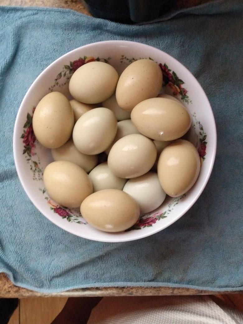 Chicken Eggs