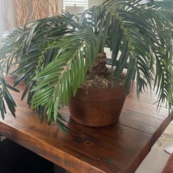 Large Faux  Plant - Ceramic Pot 