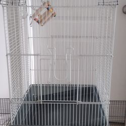 Bird Cages