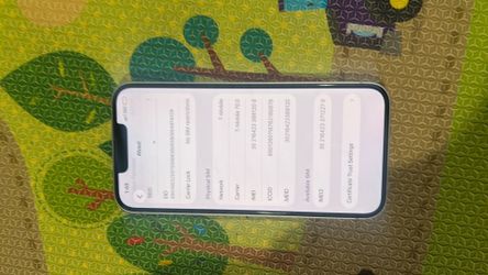 iPhone 13 unlocked