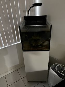 Tank Fish