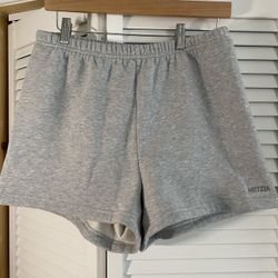 Aritzia Shorts