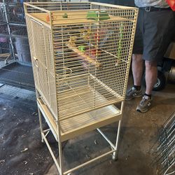 Cockatiel Cage With Many Accessories 