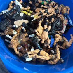 Wwe Action Figures