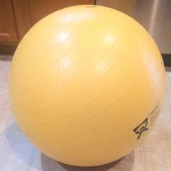 WORKOUT/FITNESS PHYSIO BALL