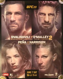 UFC 316 poster