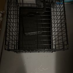Dog Kennel 