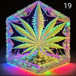 Black light Psychedelic Tapestry's 60" By 60" 