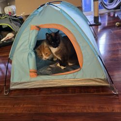 Cat Tent