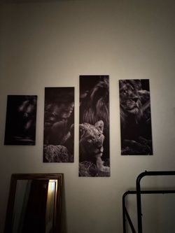 Set of 4  Lion Artwork