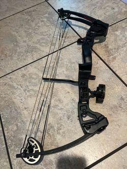 Barnett vortex lite bow and target
