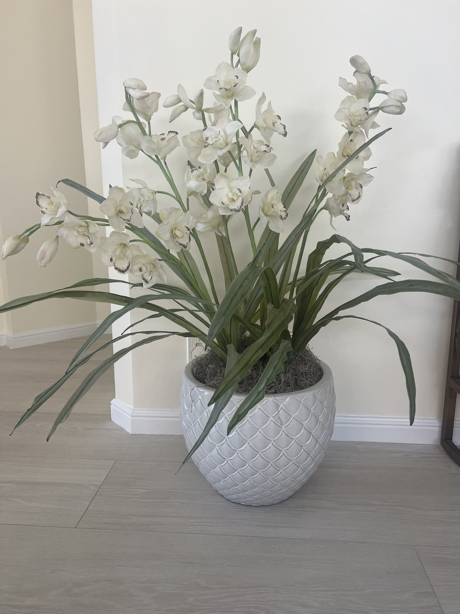 Large Silk Orchid Plant In Beautiful Planter 
