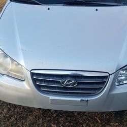 2009 Houndiay Elentra Cleen Tittle 