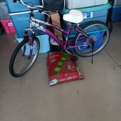 AVALON TRUE COMFORT ALUMINUM BIKE