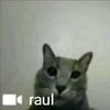Raul