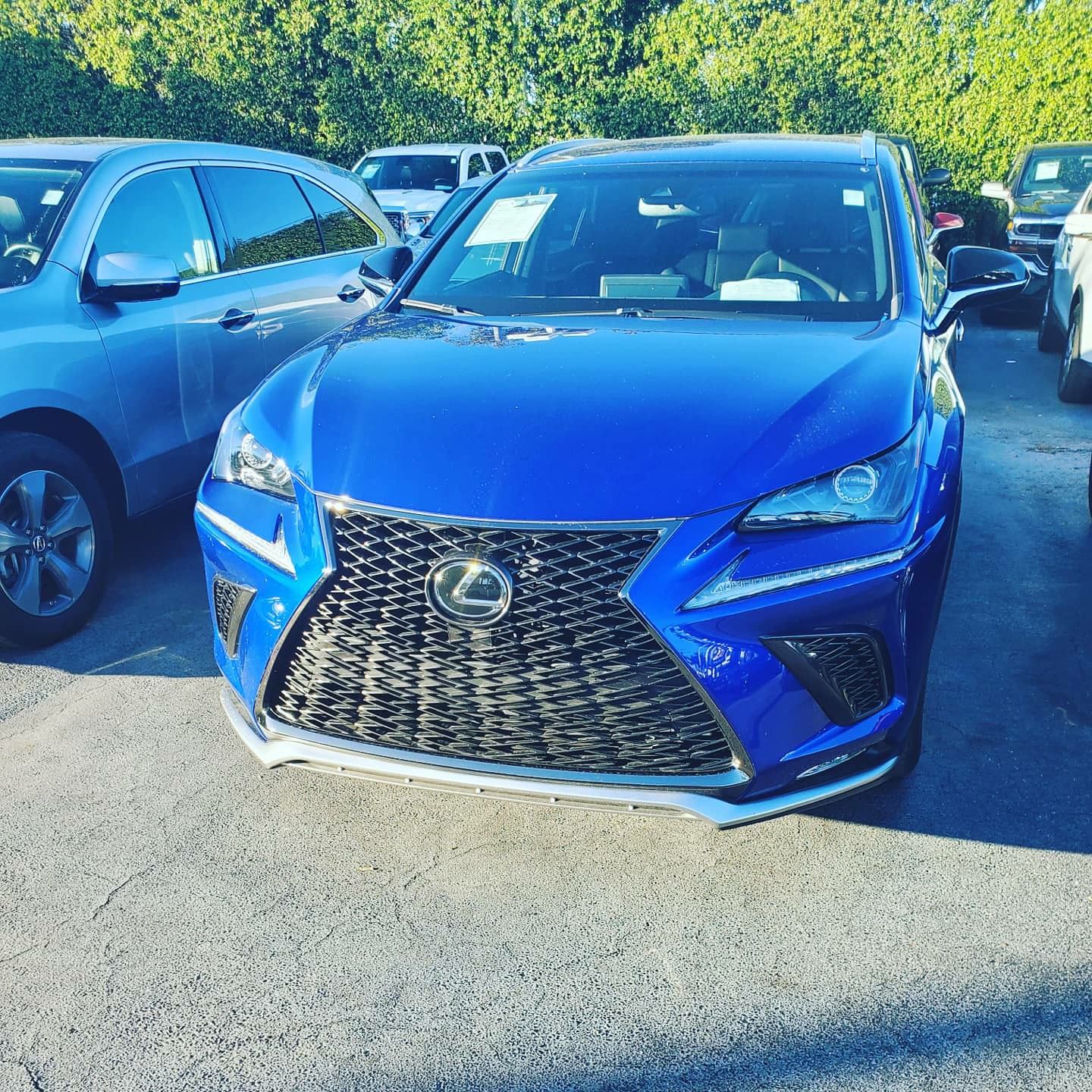 2019 LEXUS NX 300 F SPORT