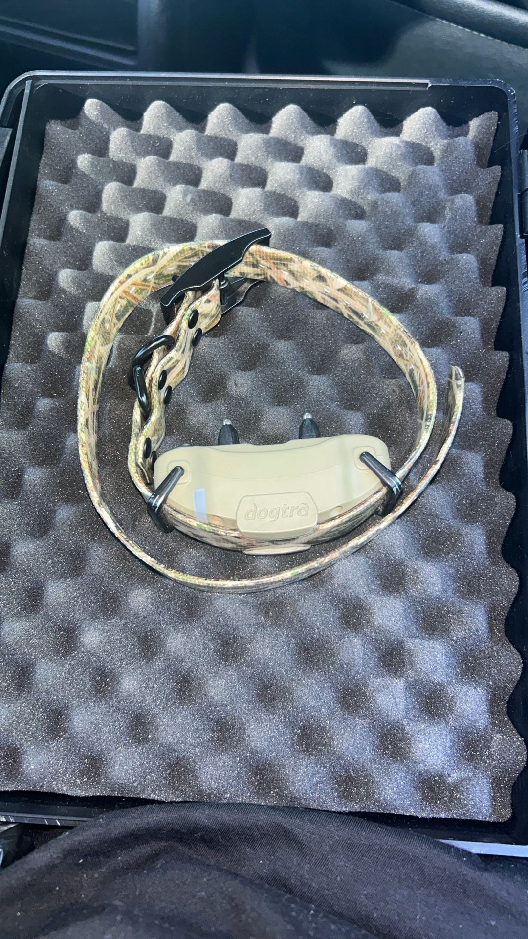 Dog Collar