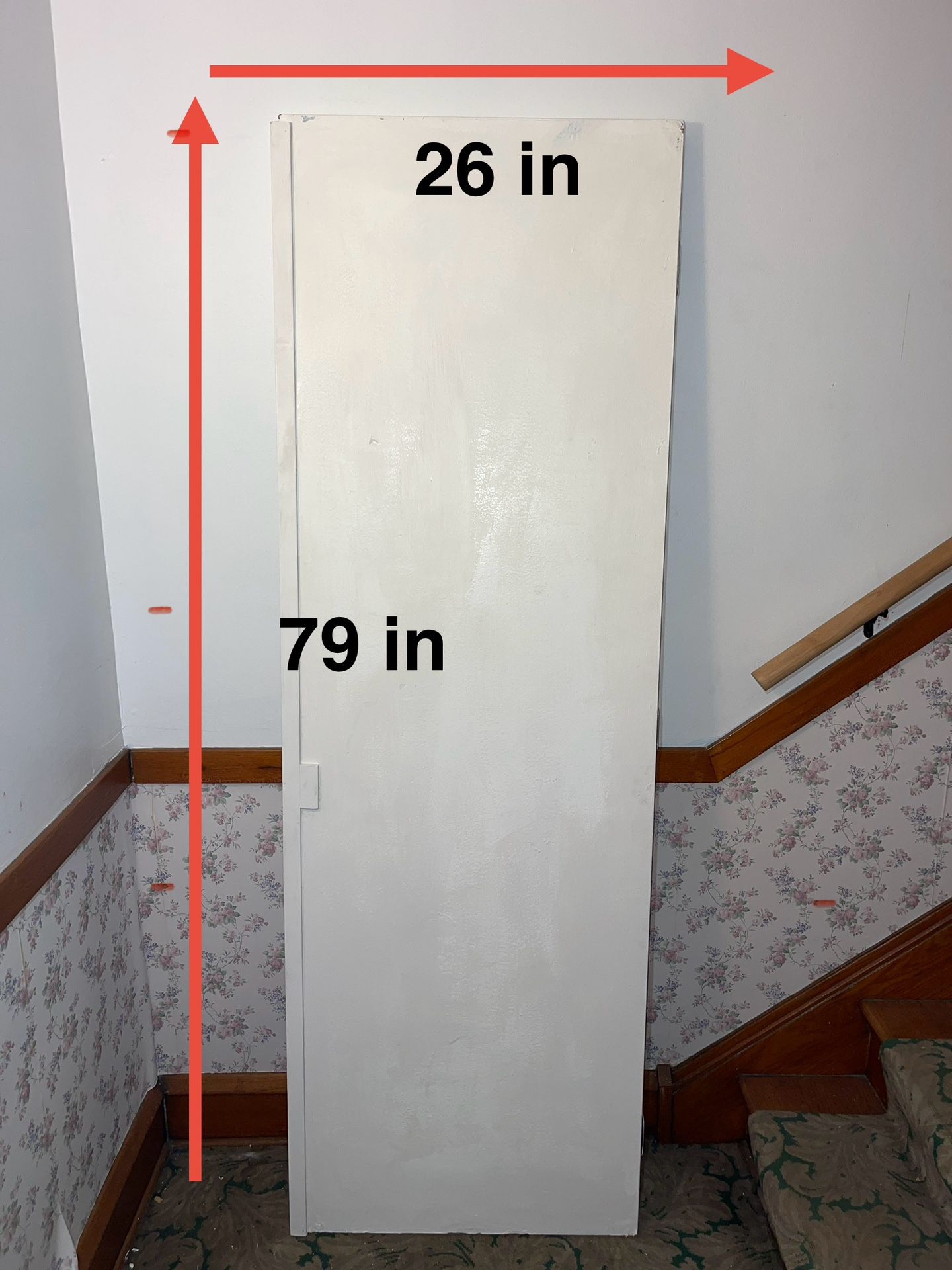 79 in. H x 26 in. W Door with Hinges