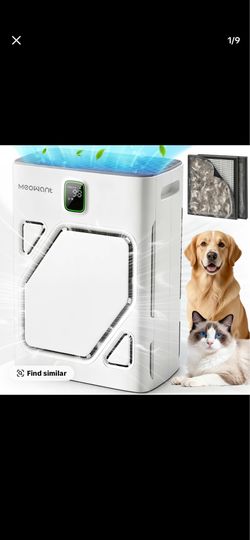 Air Purifiers for Home Pets