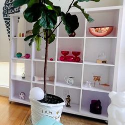 Book & Decoration Shelve On Wheels Worth $1450 Selling At $350