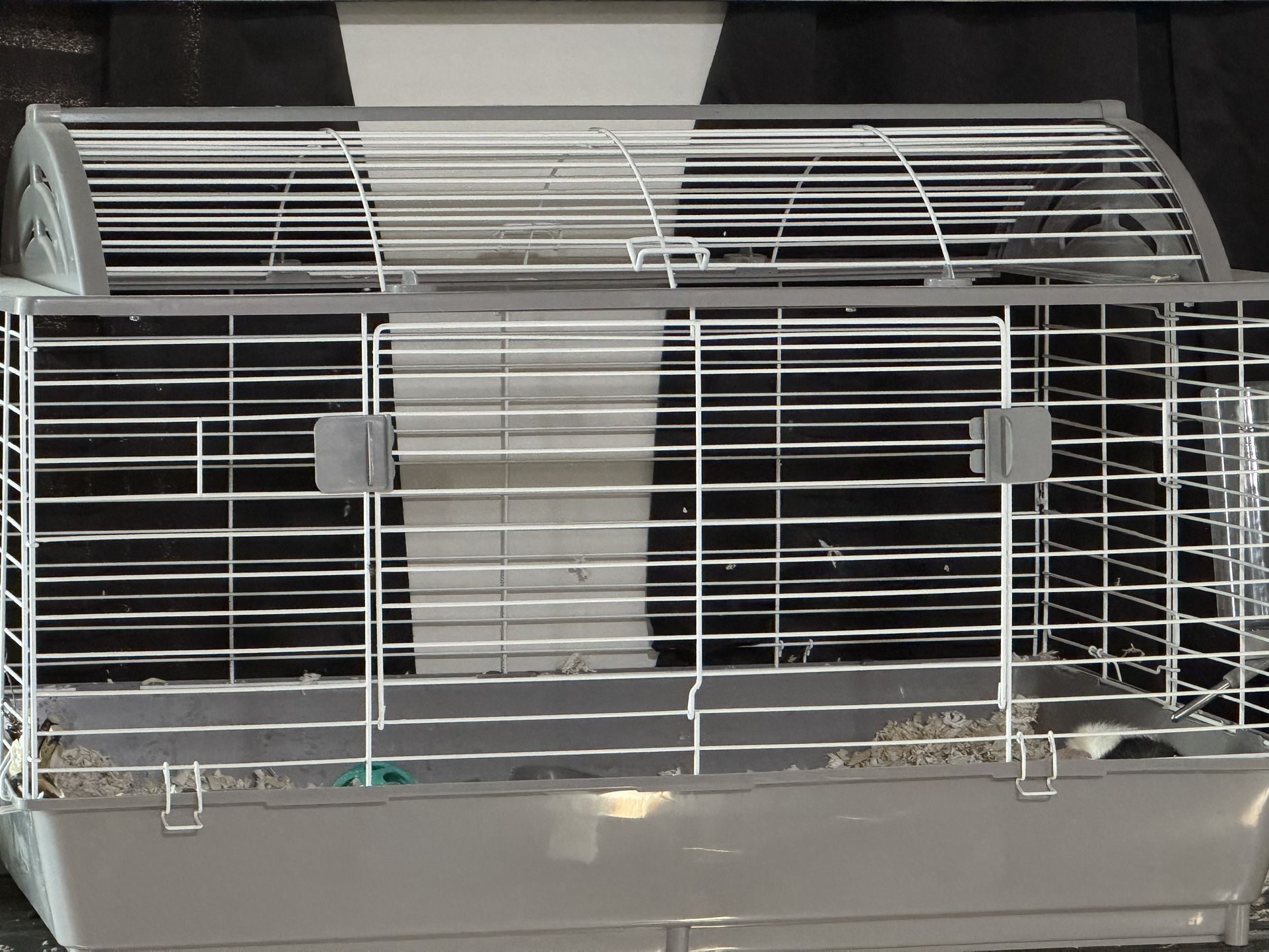 Guinea Pig Cage