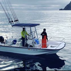 2015 Boston whaler Montauk