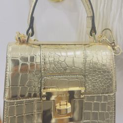 Aldo Handbag