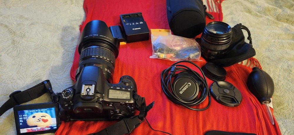 Canon Professional Great Camara All Acesories 250 Only