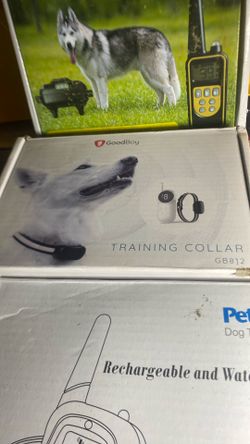 Dog Training Collars