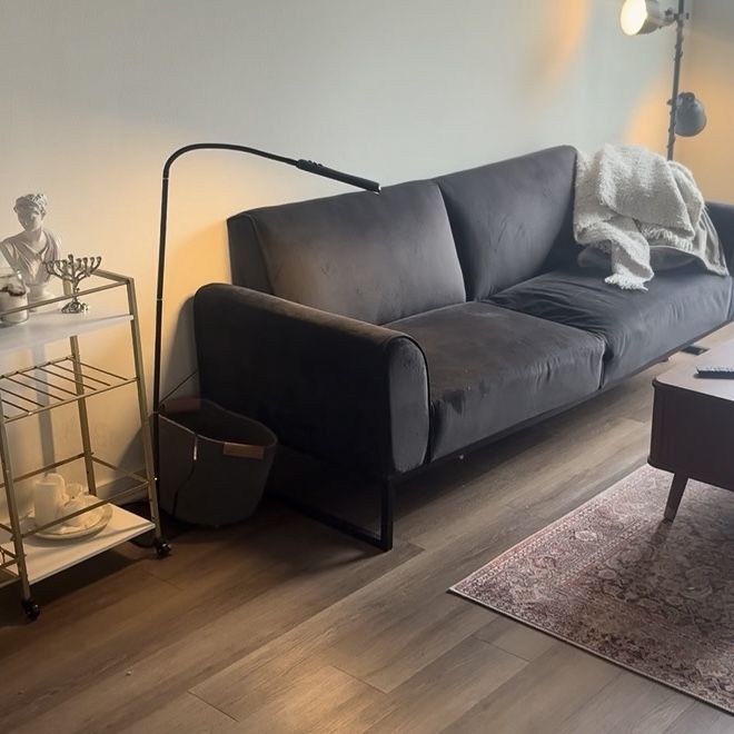 Velvet Wayfair Couch With Fold out Bed