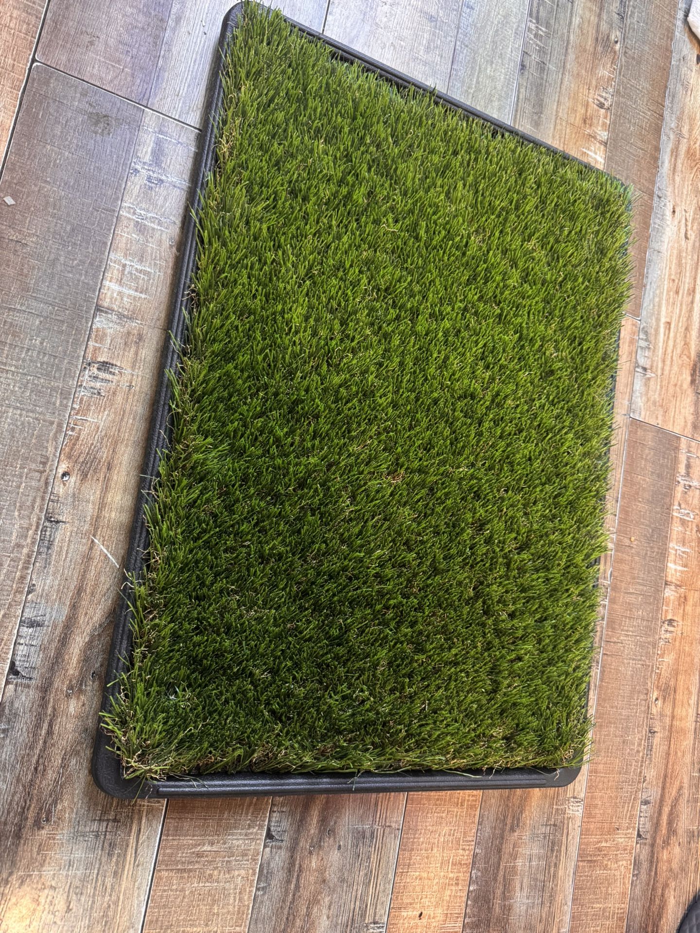 Artificial Grass Potty Trainer Mat for Dogs, 16" X 23” more than one available
