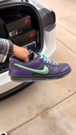 Nike Dunk Low LTD Wizard