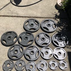 310 LB Fitness King Weight Set