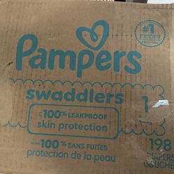 Pampers Diapers 