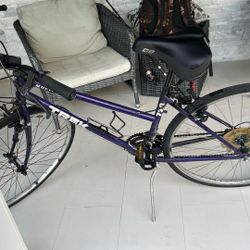 Track Multi Track Bicycle