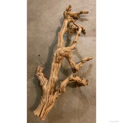 26” Grape Wood Branch Bird,reptile Perch