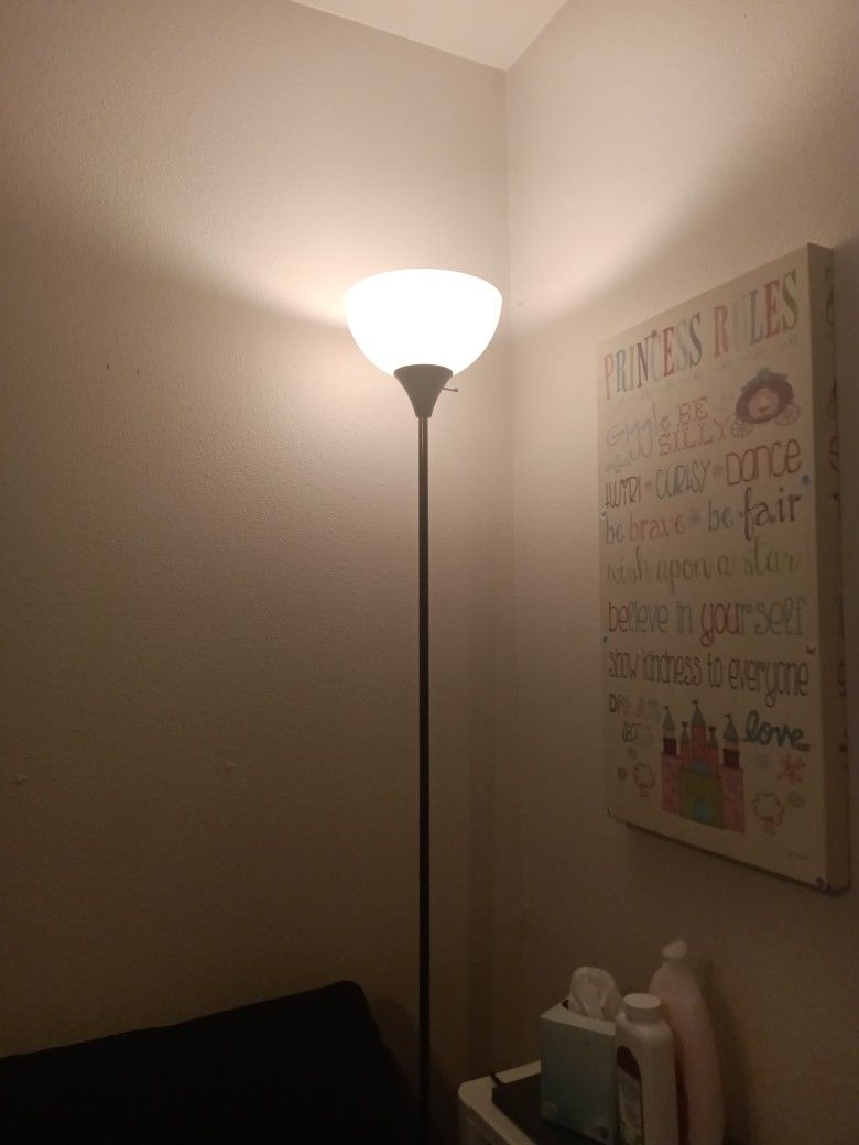 Black n White Floor Lamp