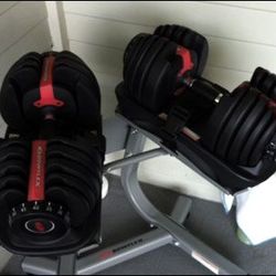 Bowflex 552 selectec dumbbell weights