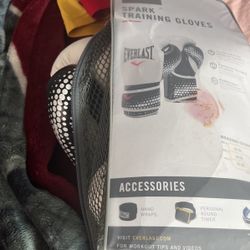 Everlast Boxing Gloves 