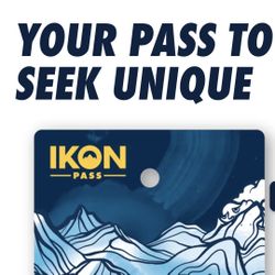 Ikon Pass 1 Day All Access Admission
