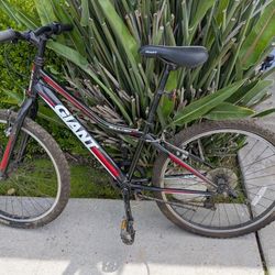 Giant Jr.  Mountain Bike