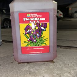 FloraBloom