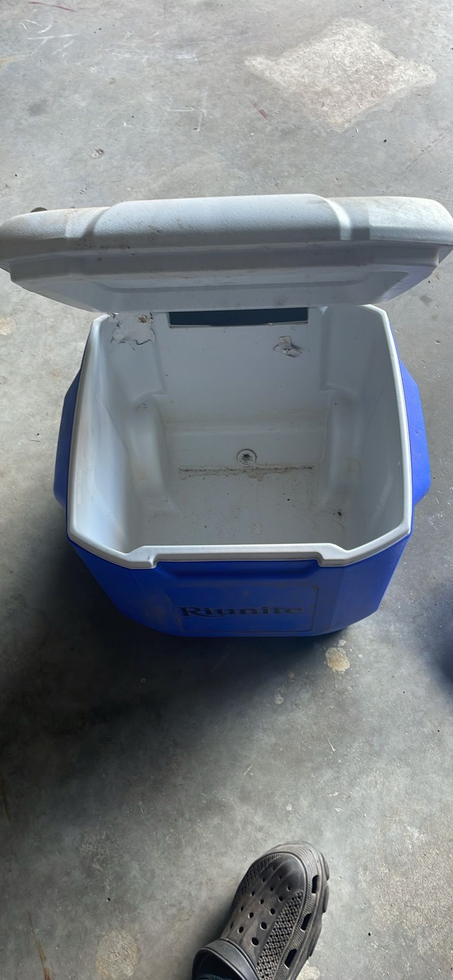 Coleman Cooler