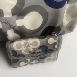 Purse And Matching Wallet 