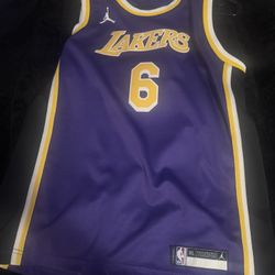 LeBron James Jersey #6