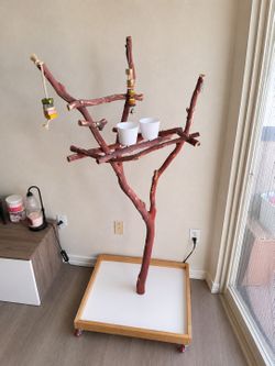 Bird Play Stand